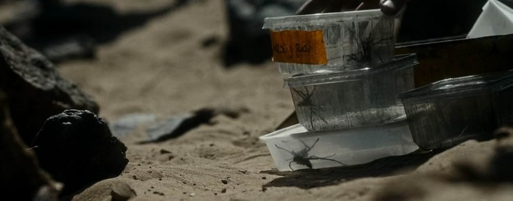 スパイダー／増殖の画像