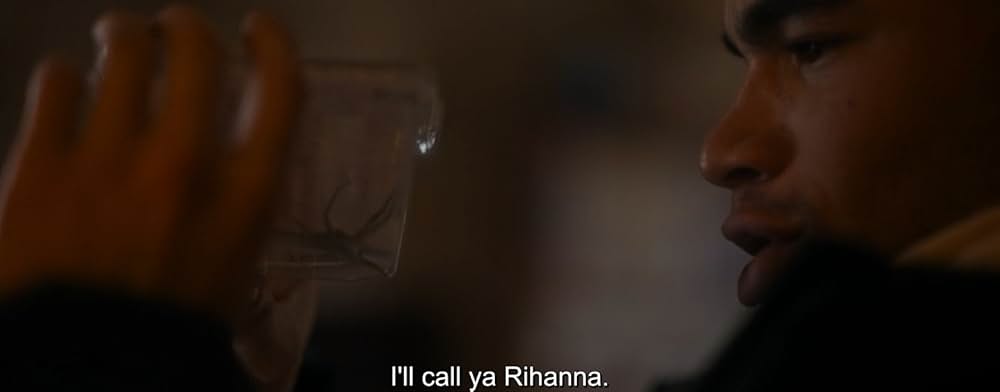 スパイダー／増殖の画像