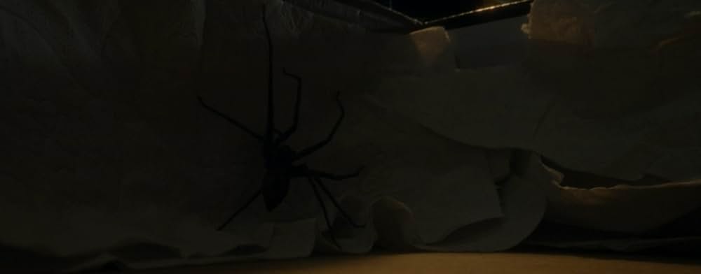 スパイダー／増殖の画像