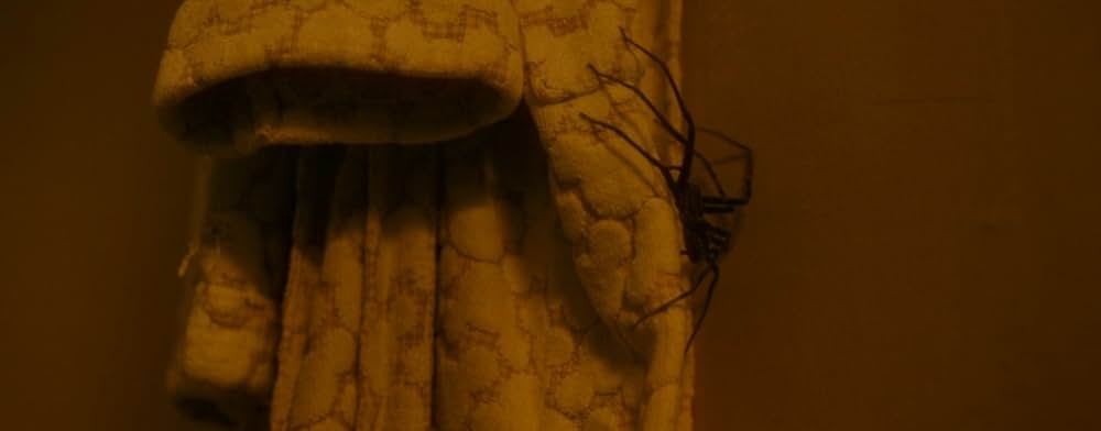 スパイダー／増殖の画像