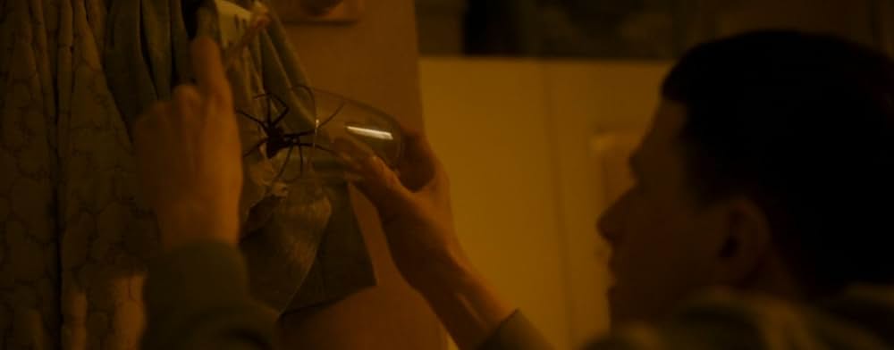 スパイダー／増殖の画像