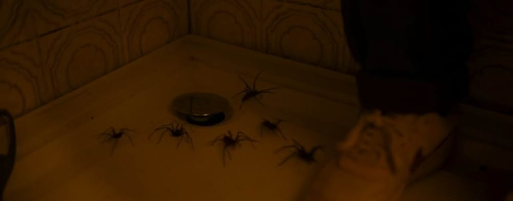 スパイダー／増殖の画像