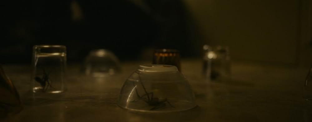 スパイダー／増殖の画像