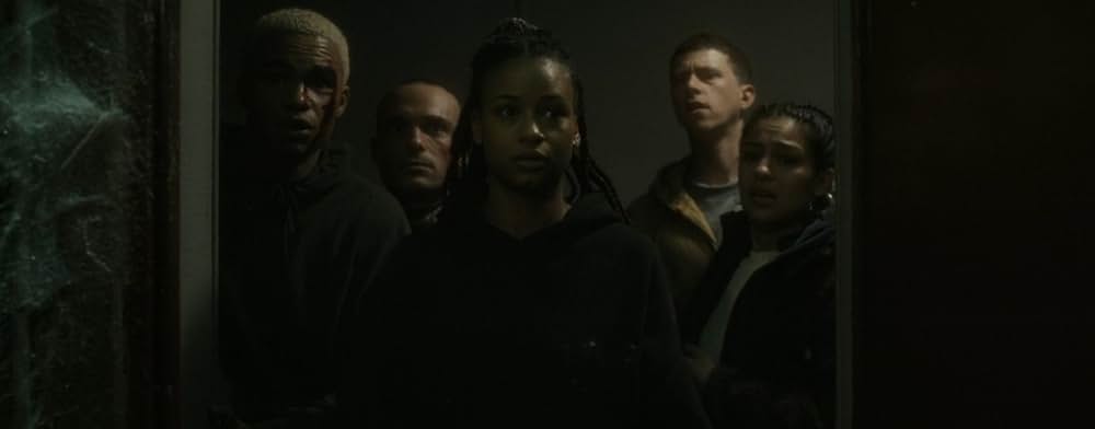 スパイダー／増殖の画像