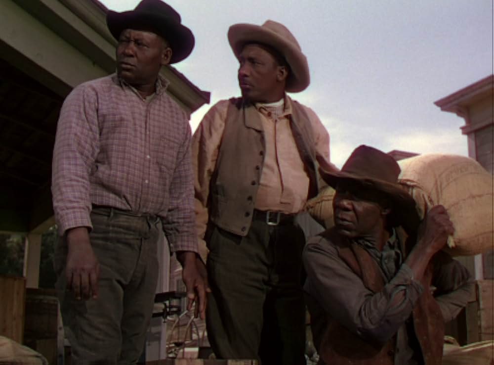 征服されざる西部の画像