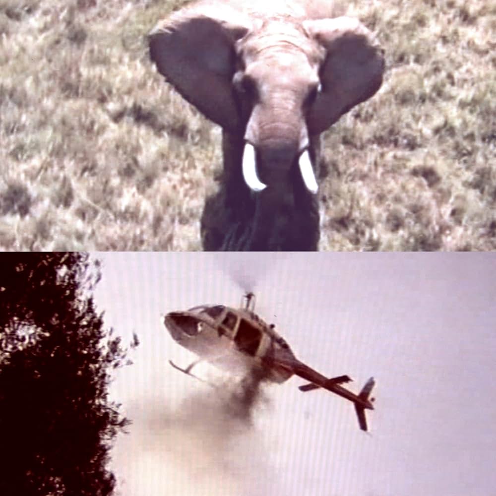 サバンナの画像