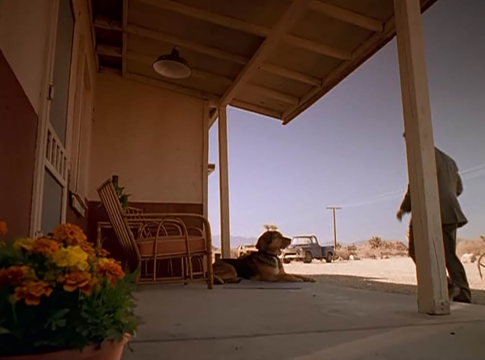 「クイックシルバー」の画像