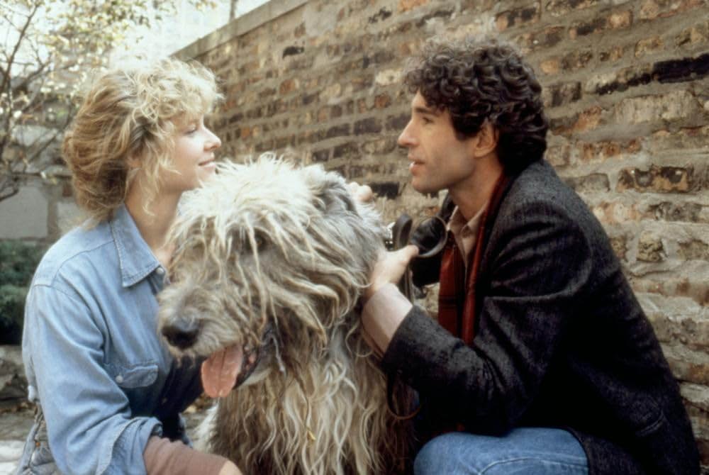 ウィンディーシティの画像