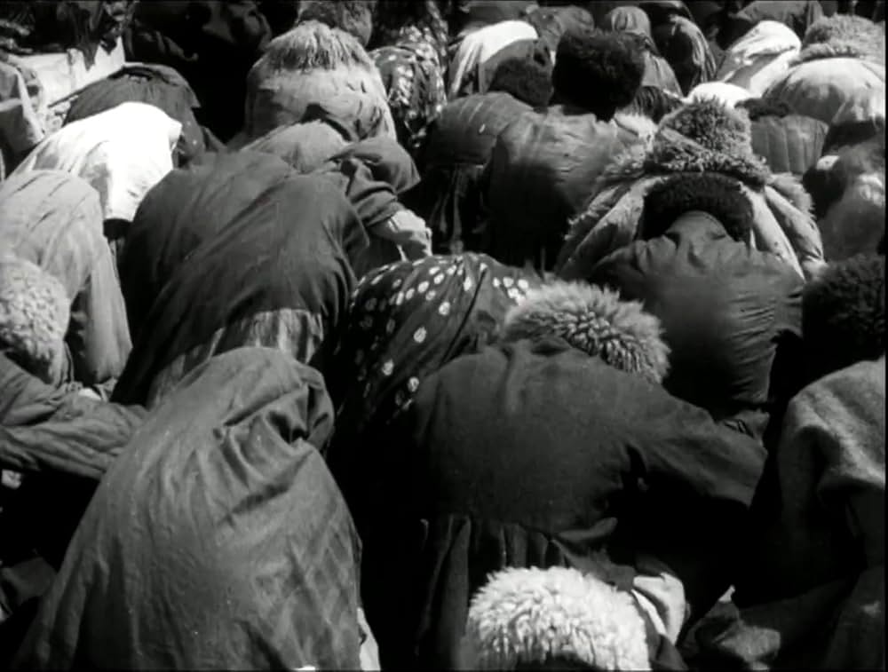 エリソーの画像