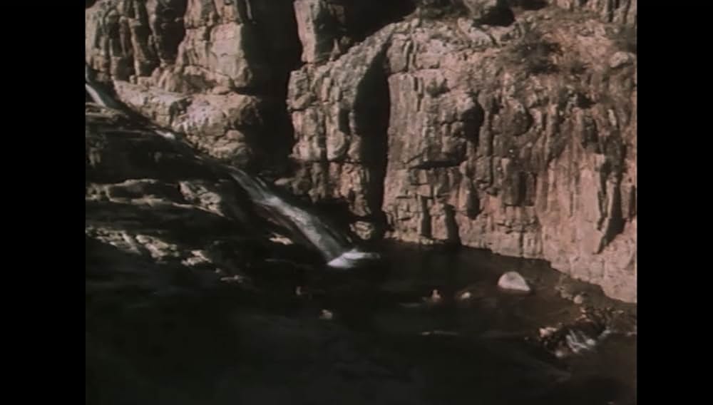 サンダーアレイ／雷通りのギター・キッズ・グラフィティの画像