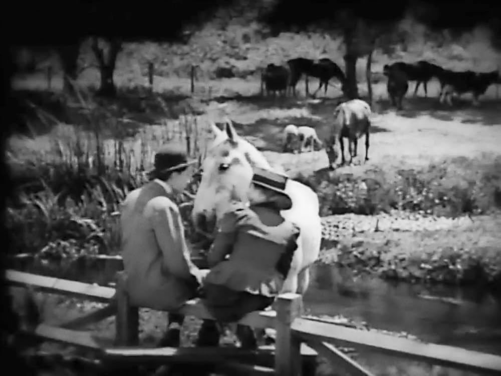 シャボンの泡の画像