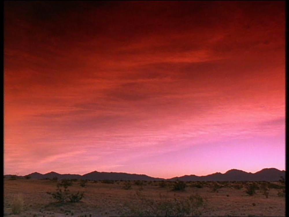 ブルーナイトロードの画像