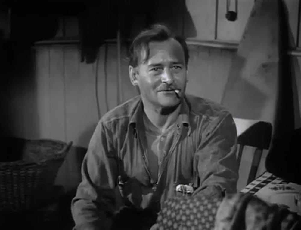 虚栄の花の画像