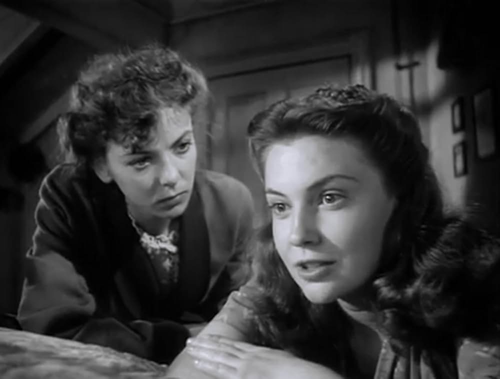 虚栄の花の画像