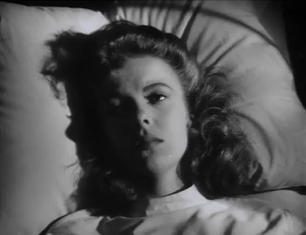 虚栄の花の画像