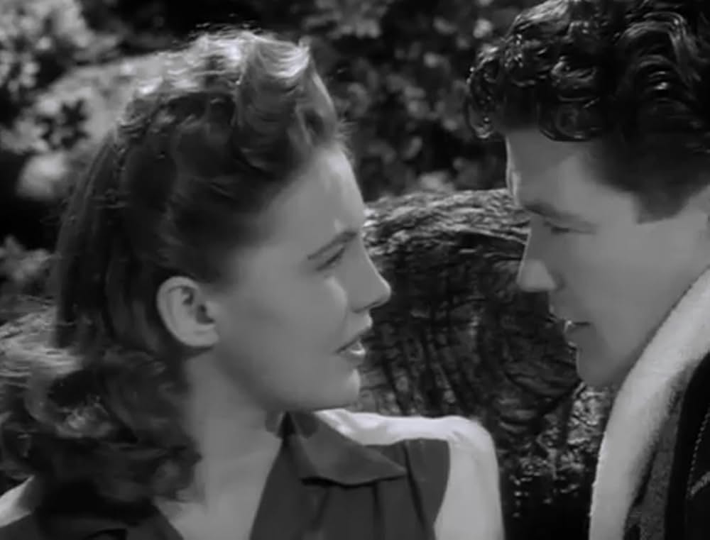 虚栄の花の画像