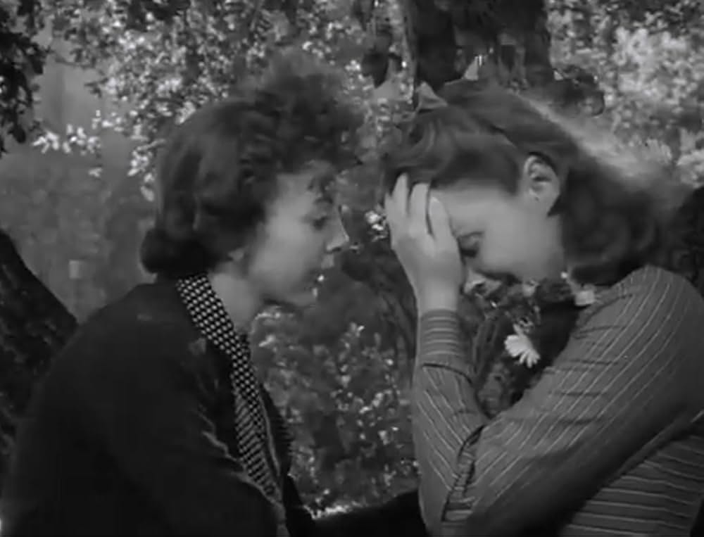 虚栄の花の画像