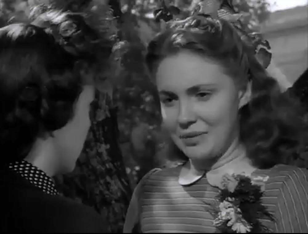 虚栄の花の画像