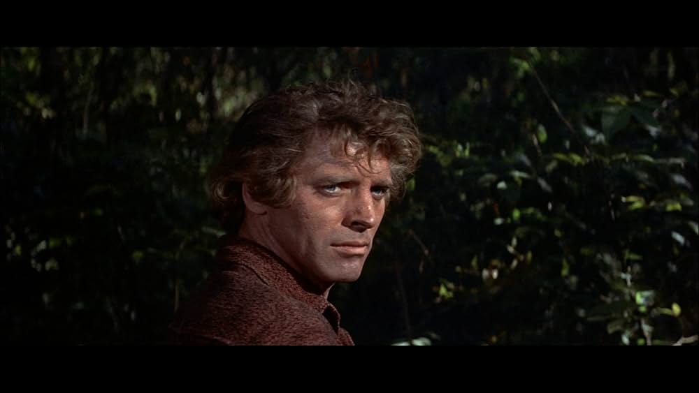 ケンタッキー人の画像