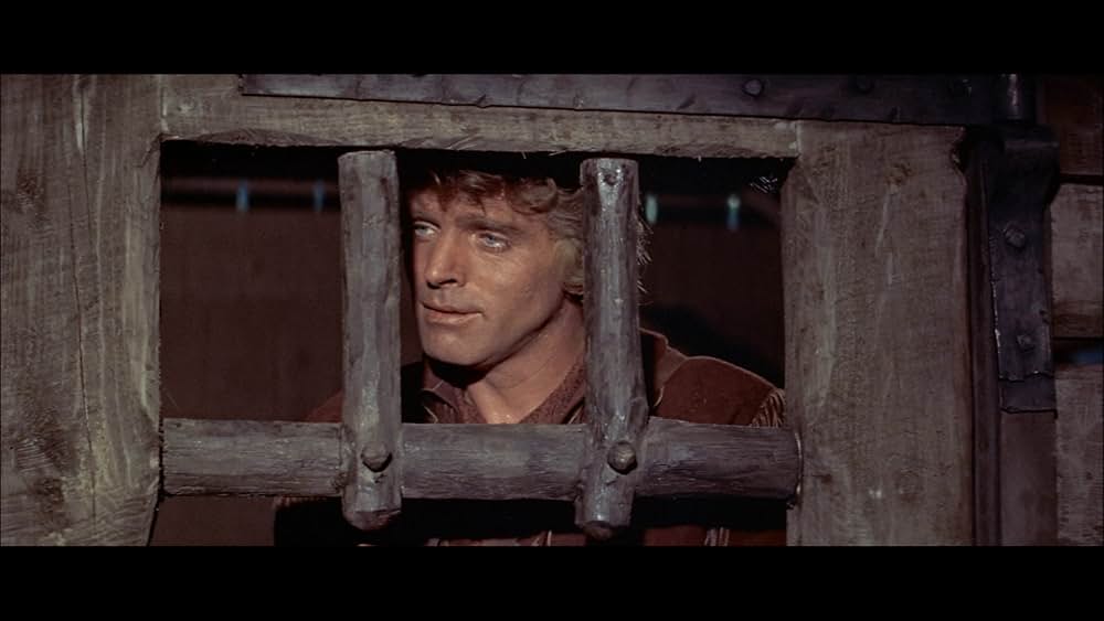 ケンタッキー人の画像