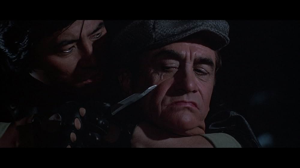 ザ・ニンジャ／復讐の誓いの画像