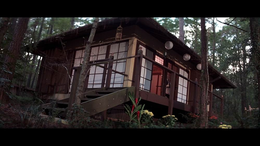 ザ・ニンジャ／復讐の誓いの画像