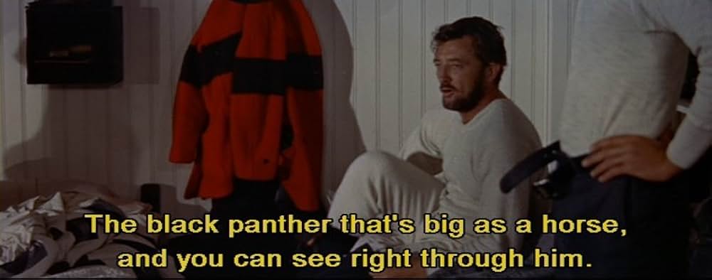 血ぬられし爪あと／影なき殺人ピューマの画像