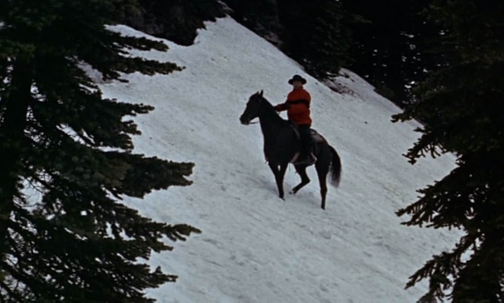 血ぬられし爪あと／影なき殺人ピューマの画像