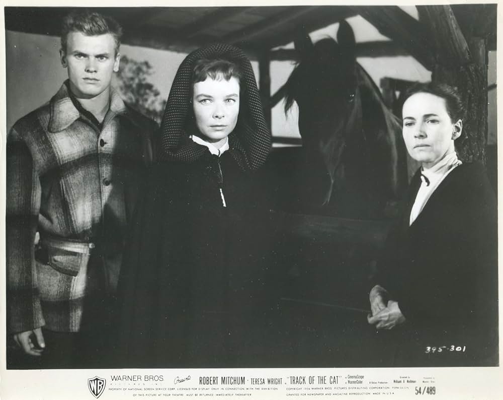 血ぬられし爪あと／影なき殺人ピューマの画像