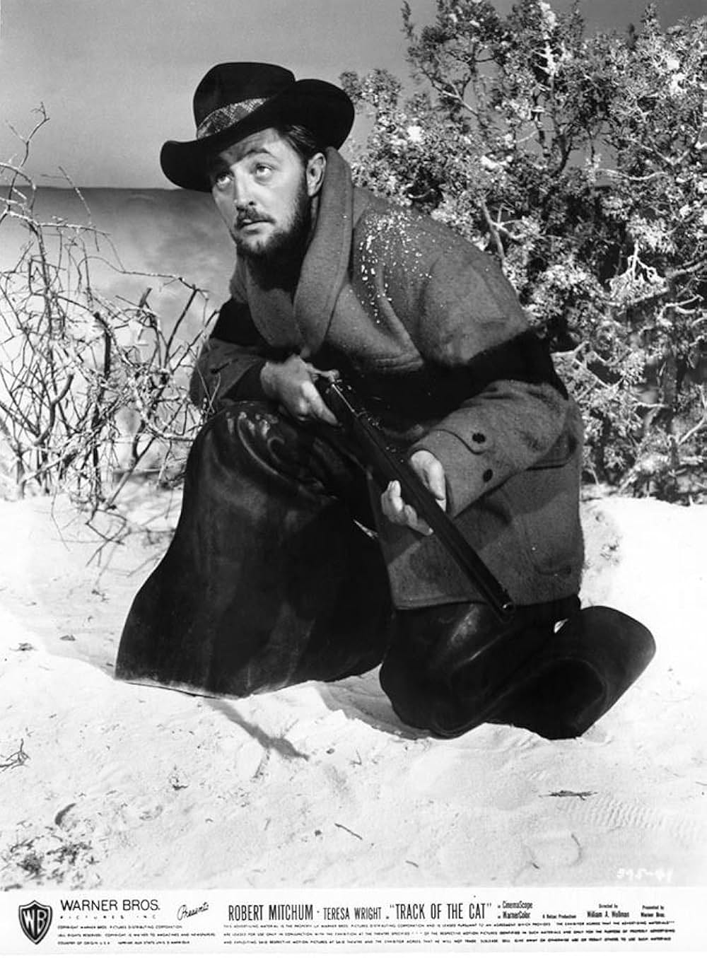 血ぬられし爪あと／影なき殺人ピューマの画像