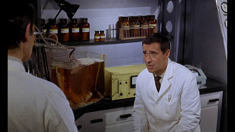 血に飢えた島の画像