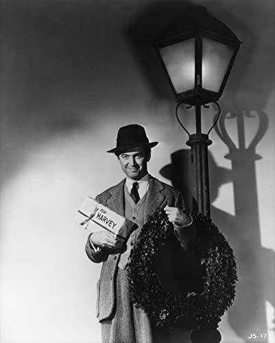 ハーヴェイの画像