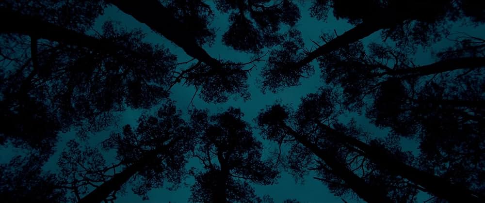 アウト・オブ・ダークネス 見えない影の画像