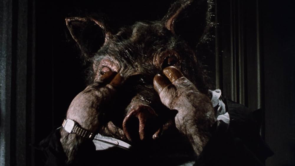 Spellcaster（原題）の画像