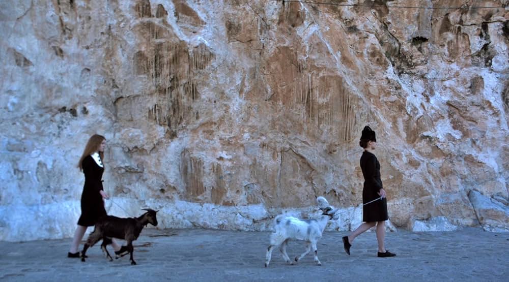 The Capsule（原題）の画像