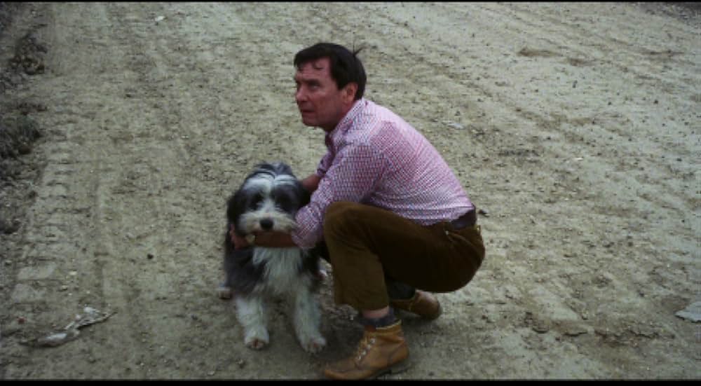 高熱怪物の恐怖の画像