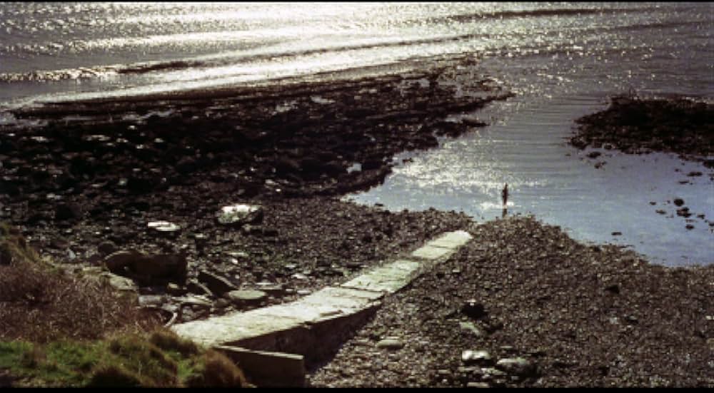 高熱怪物の恐怖の画像