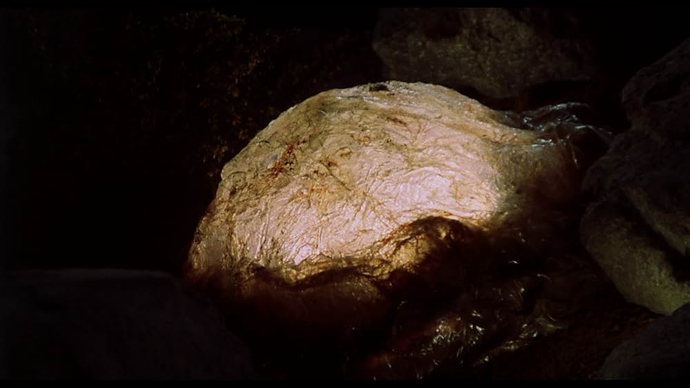 高熱怪物の恐怖の画像