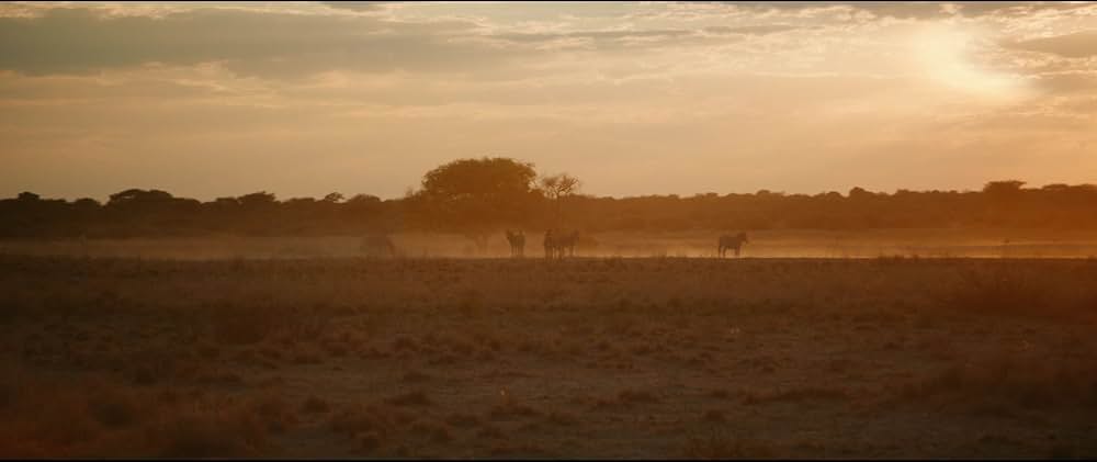 「A United Kingdom（原題）」の画像