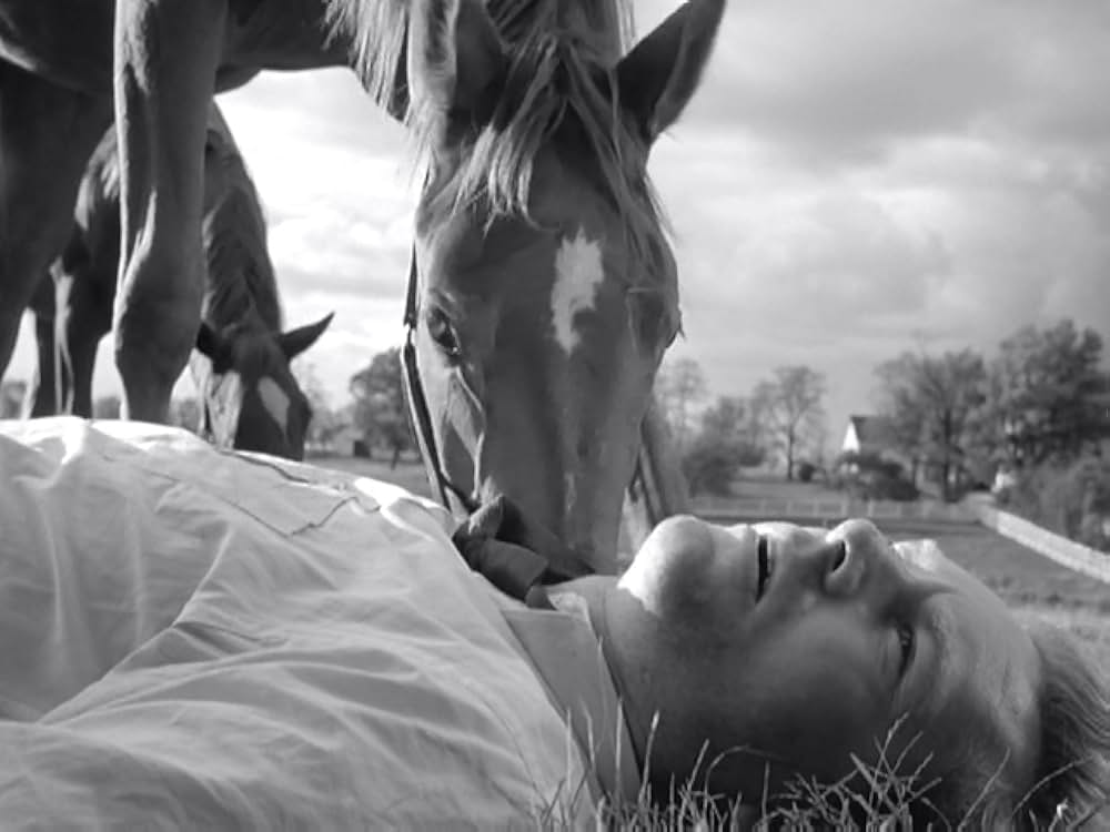 「アスファルト・ジャングル」の画像