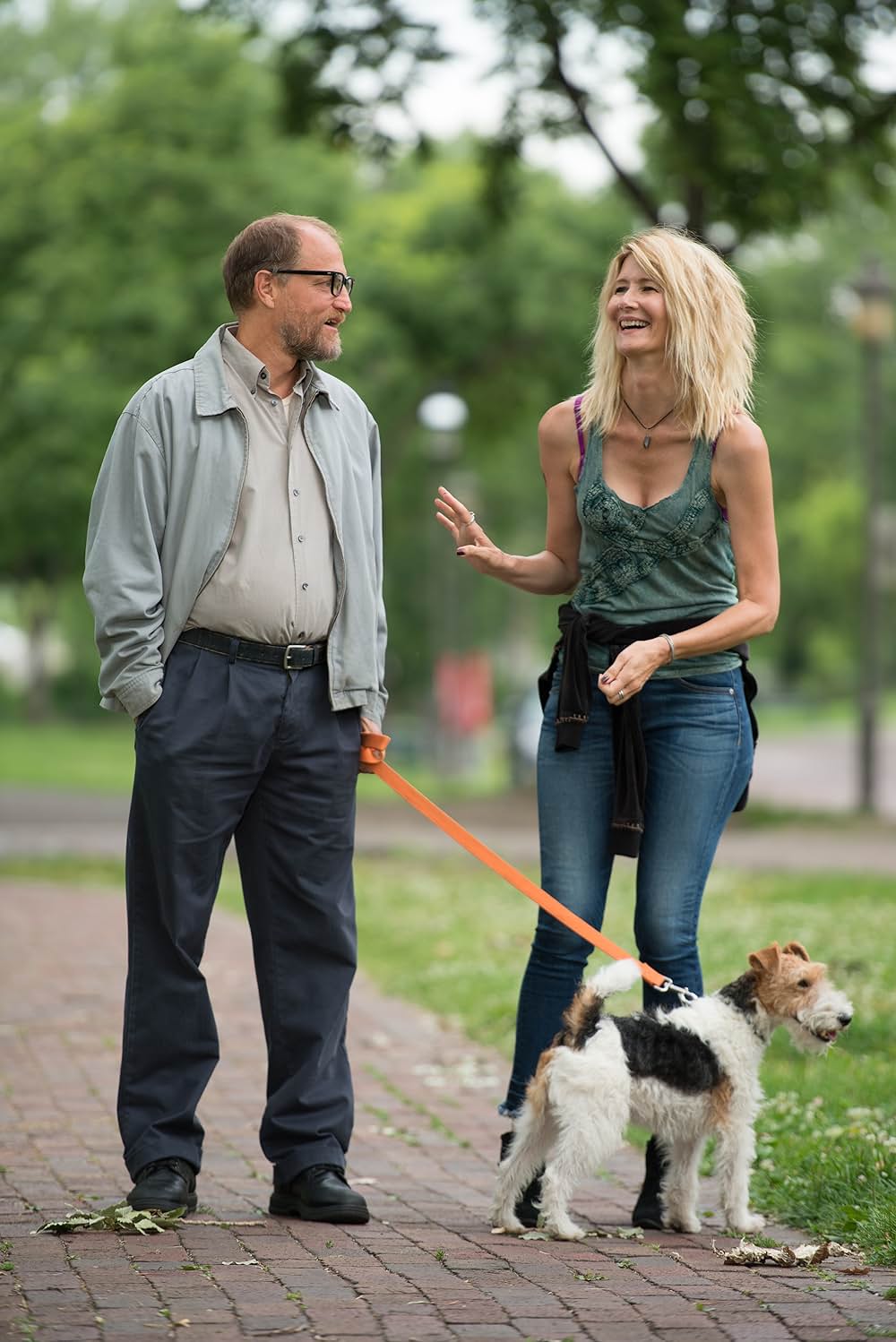 ウィルソンの画像