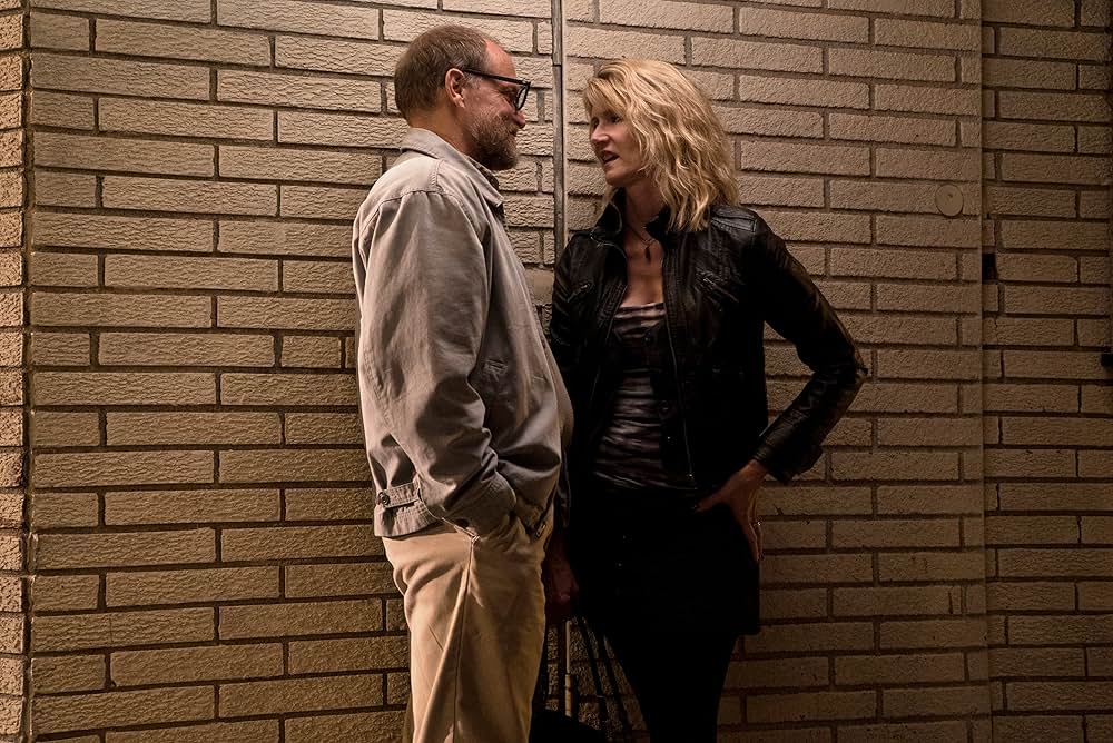 ウィルソンの画像