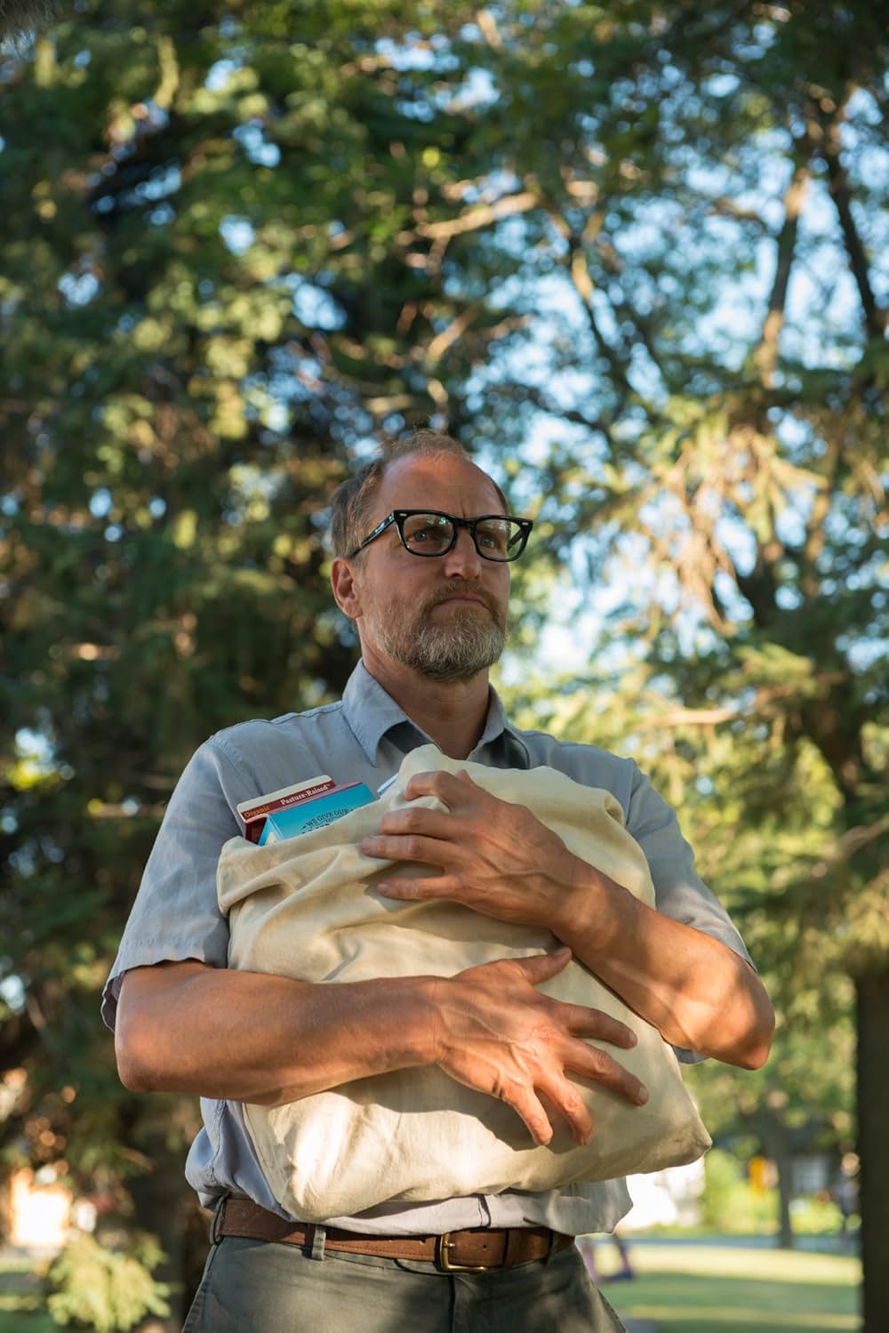 ウィルソンの画像