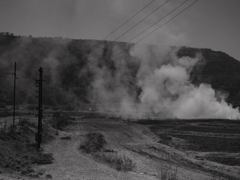 夏が語ることの写真