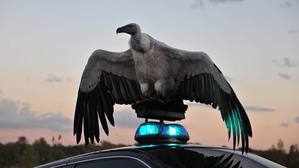「River of Fundament（原題）」の画像