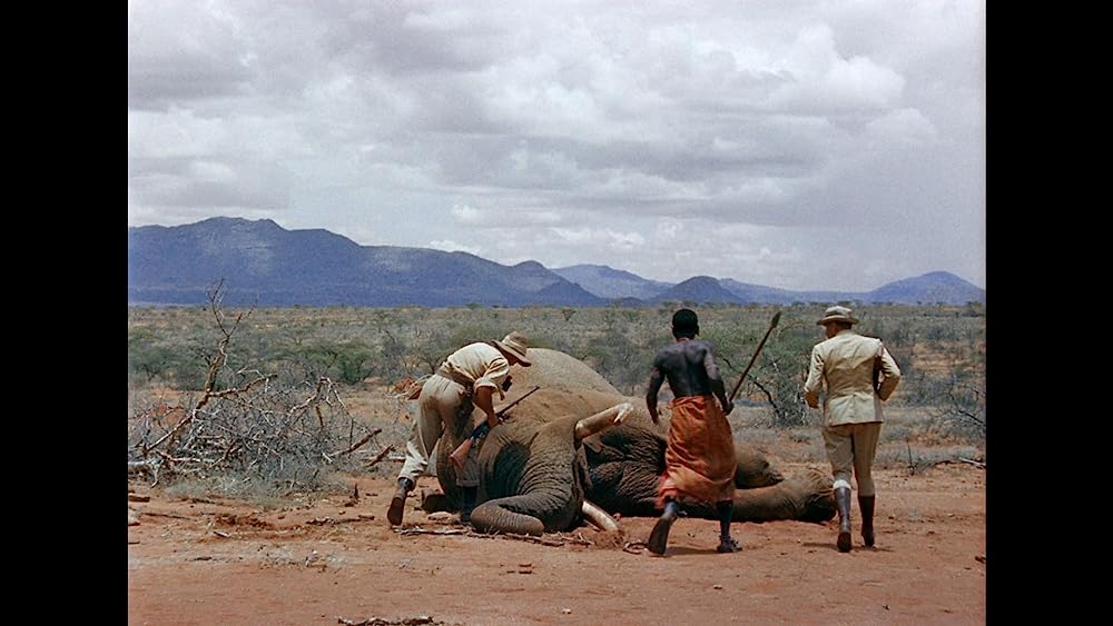 「キング・ソロモン」スチュワート・グレンジャー & John Bannerの画像