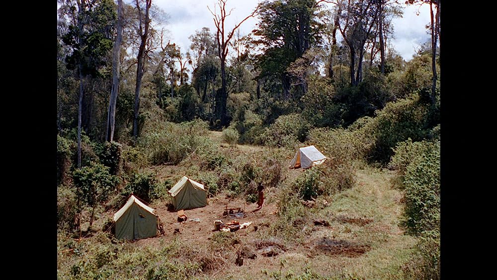 キング・ソロモンの画像