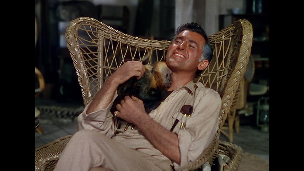 キング・ソロモンの画像