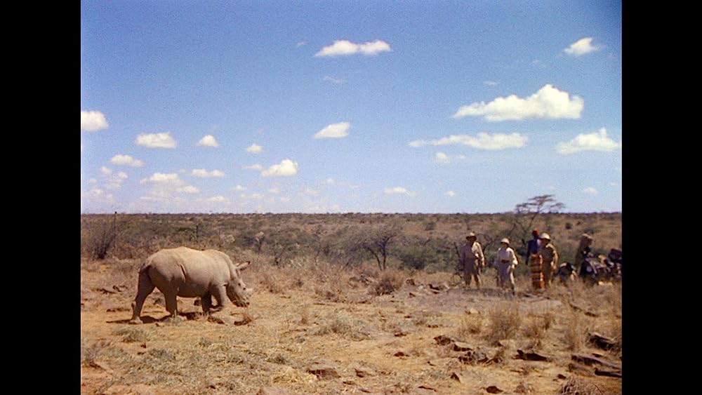 キング・ソロモンの画像