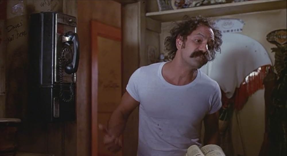 Cheech and Chong's Next Movie（原題）の画像